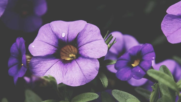 When Fixing a Lost Relationship Drains Your Sense of Self