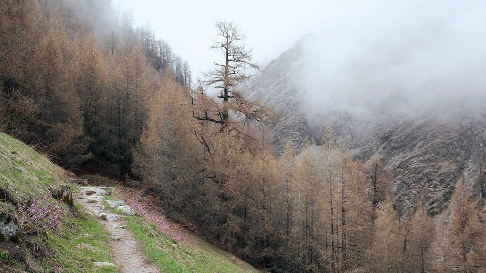 When Relief After a Breakup Feels Like Guilt