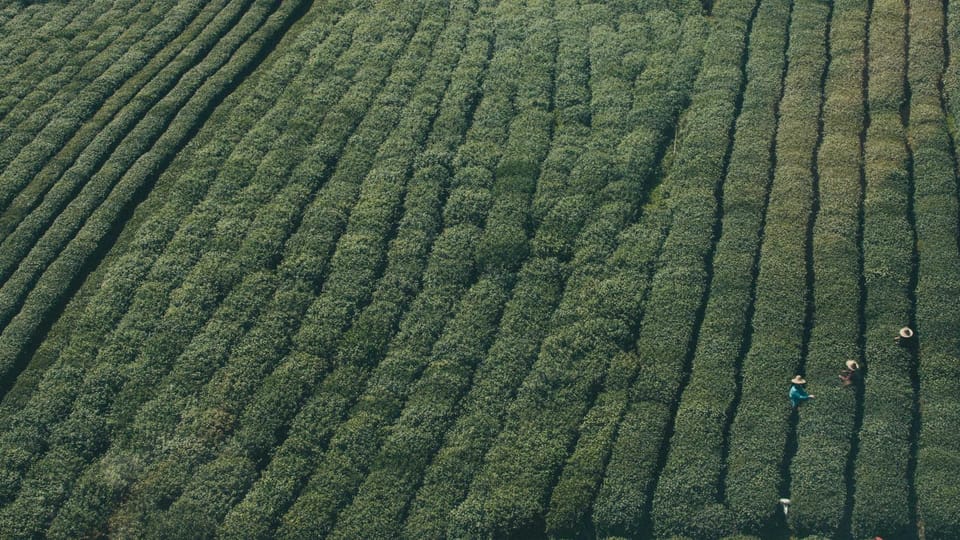 The Trap of Proving You Are Over: Why New Dates Can Keep You Stuck