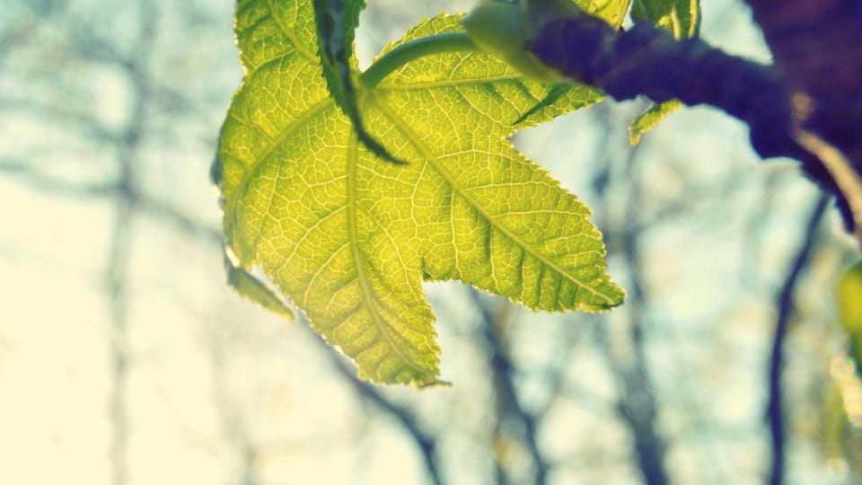 When You Keep Checking Your Ex’s Old Messages Hoping for a Sign